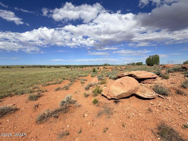 Land for sale in Navajo, Arizona