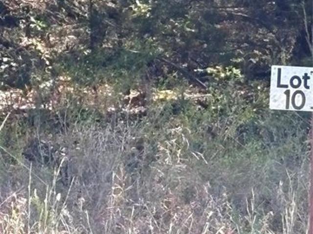 Land for sale in Agra, Lincoln County