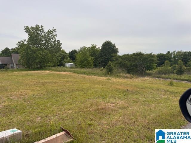 Land for sale in Pleasant Grove, Alabama