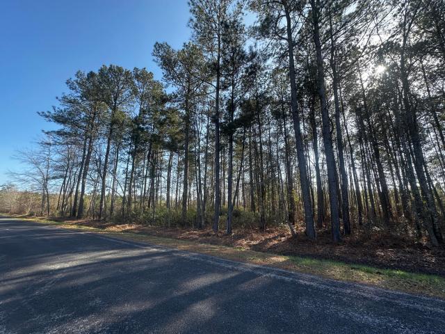 Land for sale in Smoaks, South Carolina