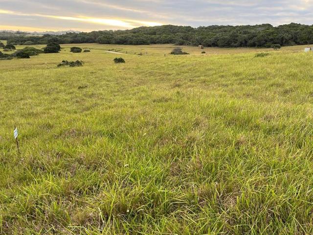Land for sale in Bushmans River Mouth, Eastern Cape