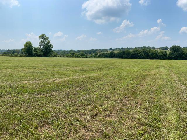 Commercial for sale in Ozark