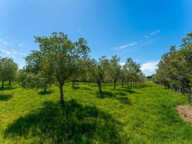 Property for sale in Canterbury