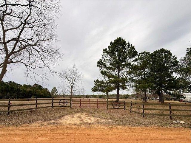 Land for sale in Meigs, Georgia