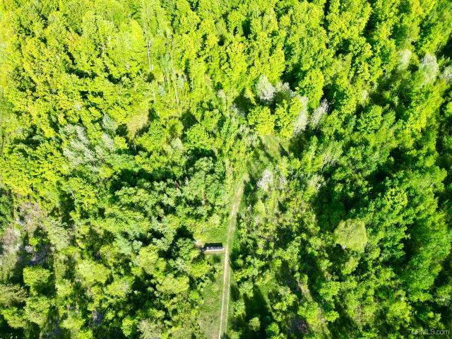 Land for sale in Michigan