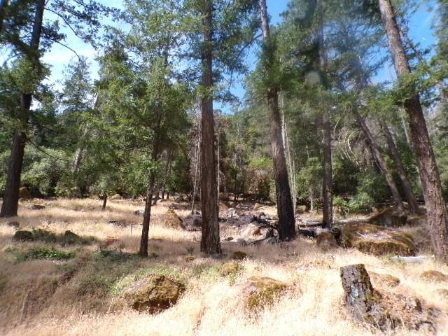 Land for sale in Lake, California