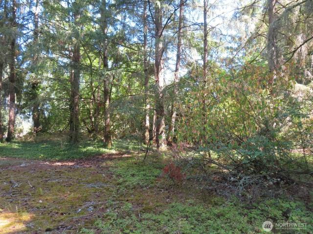 Land for sale in Thurston, Washington