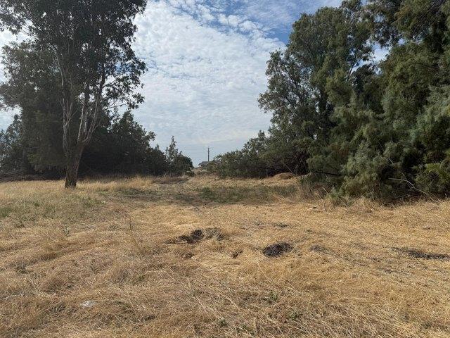 Land for sale in Dos Palos, California