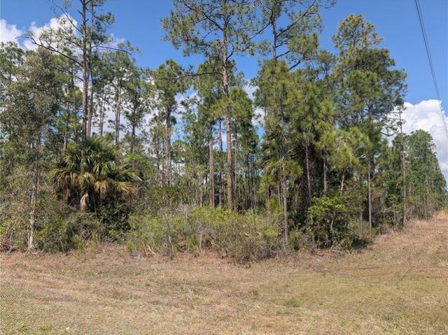 Land for sale in Indian Lake Estates, Polk County