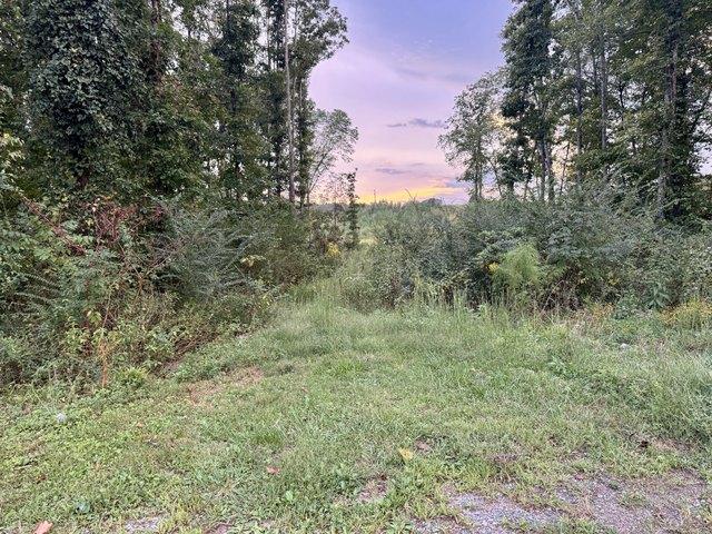 Land for sale in Decatur, East Tennessee