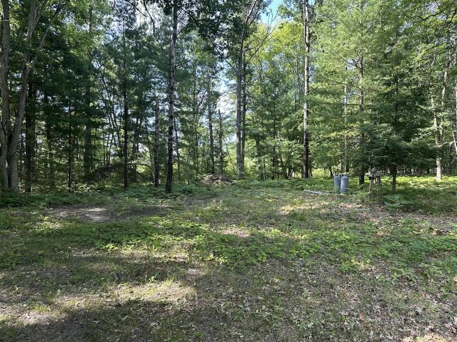 Land for sale in Michigan