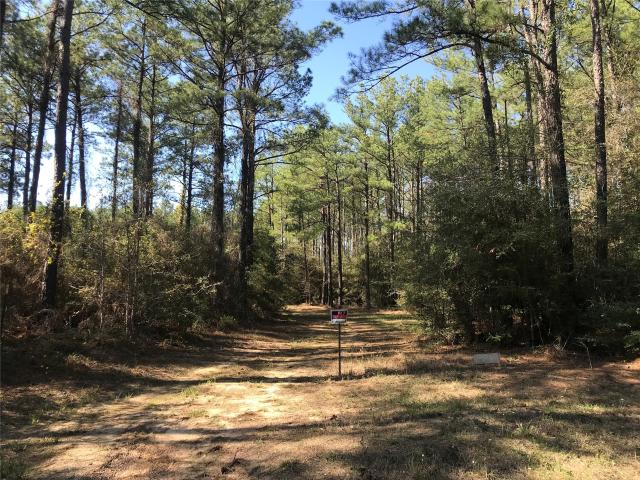 Land for sale in Broaddus, Texas