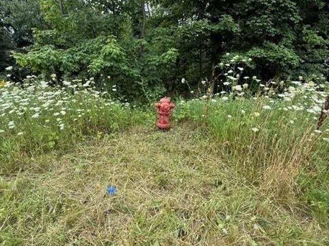 Land for sale in Michigan