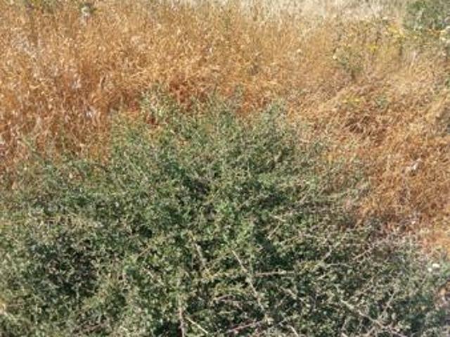 Land for sale in Western Cape