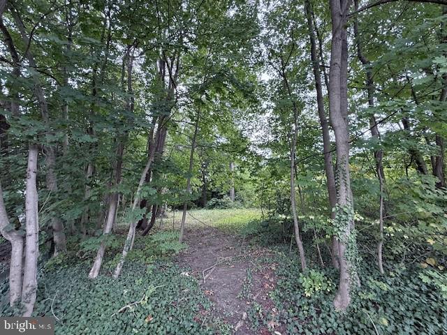 Land for sale in Philadelphia, Pennsylvania