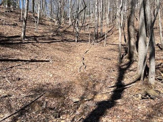 Land for sale in Horse Shoe, North Carolina