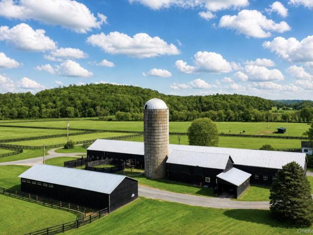 House for sale in Pine Plains, New York