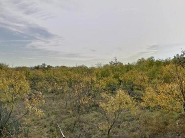 Land for sale in Miles, Texas