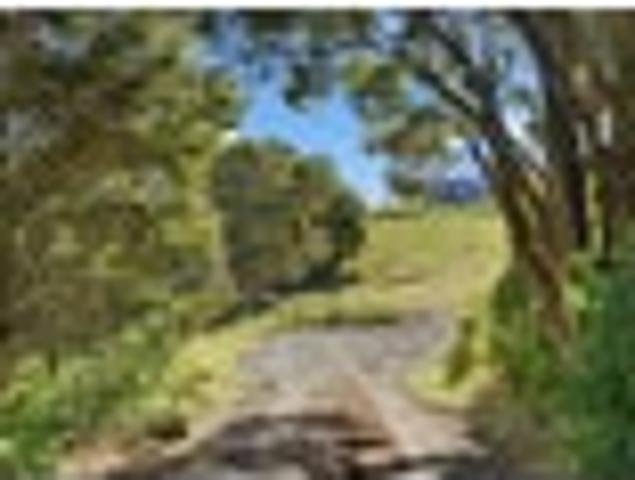 Land for sale in Northland
