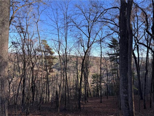 Land for sale in Gordon, Georgia