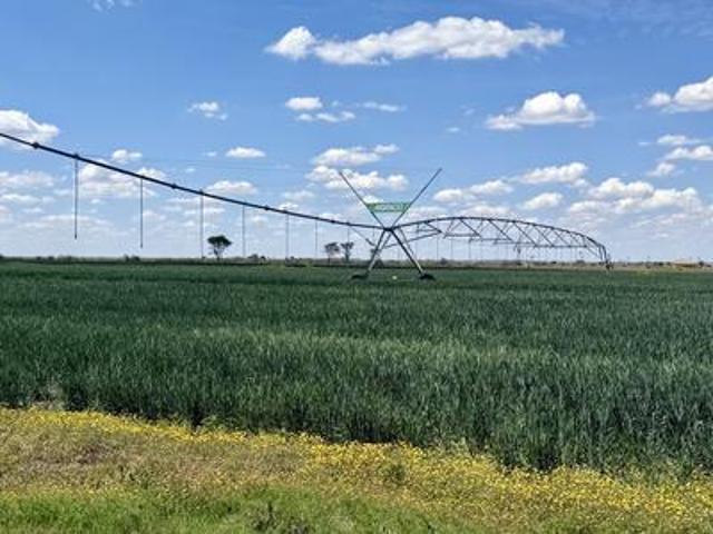 Farm for sale in Koppies, Ngwathe Local Municipality