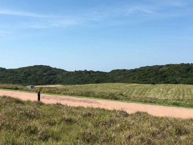 Land for sale in Bushmans River Mouth, Eastern Cape