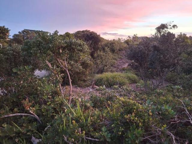 Land for sale in Cape St Francis, Eastern Cape