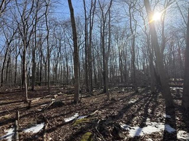 Land for sale in Pocono Lake, Tobyhanna Township