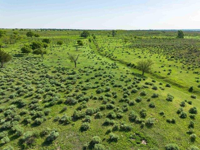 Farm for sale in Wheeler, Texas