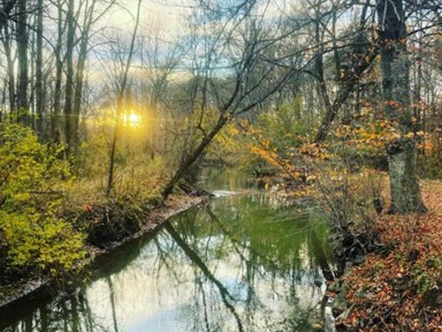 Land for sale in Three Oaks, Michigan