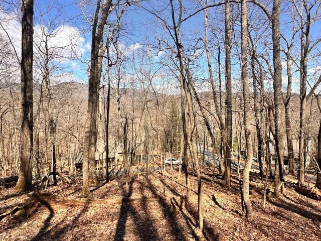 Land for sale in Pickens, Georgia