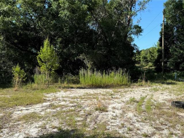 Land for sale in Florida