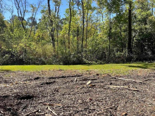 Land for sale in Robertsdale, Alabama