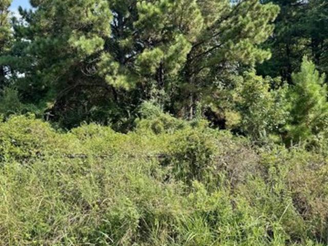 Land for sale in Harrison, Texas