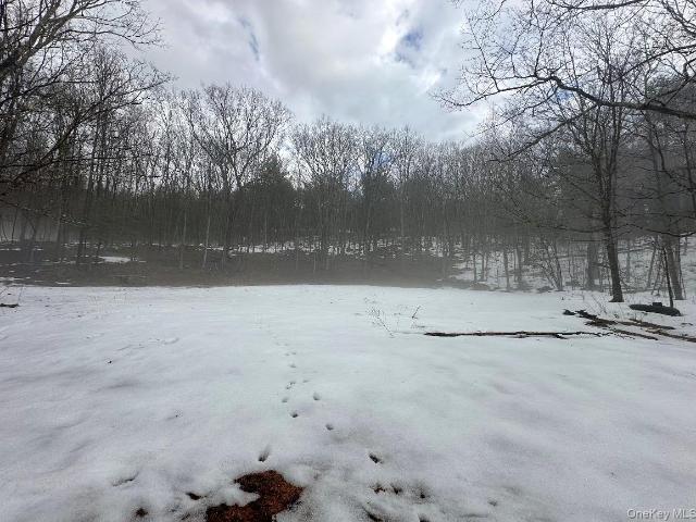 Land for sale in Acra, New York