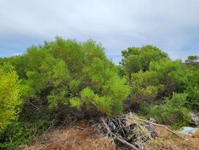 Land for sale in Cape St Francis, Eastern Cape