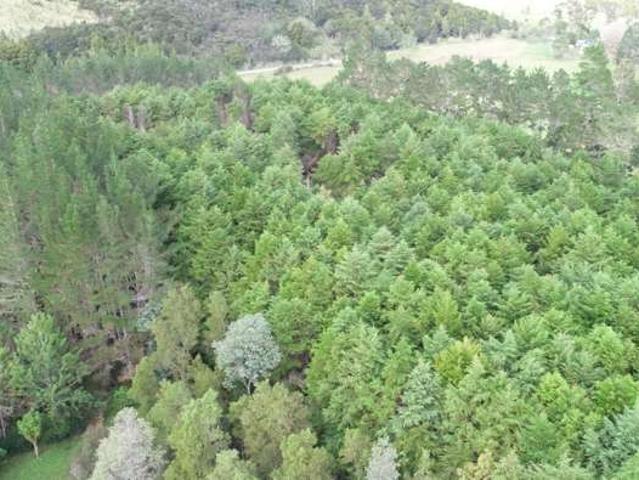 Property for sale in Karetu, Northland