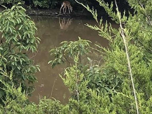 Land for sale in Cushing, Oklahoma
