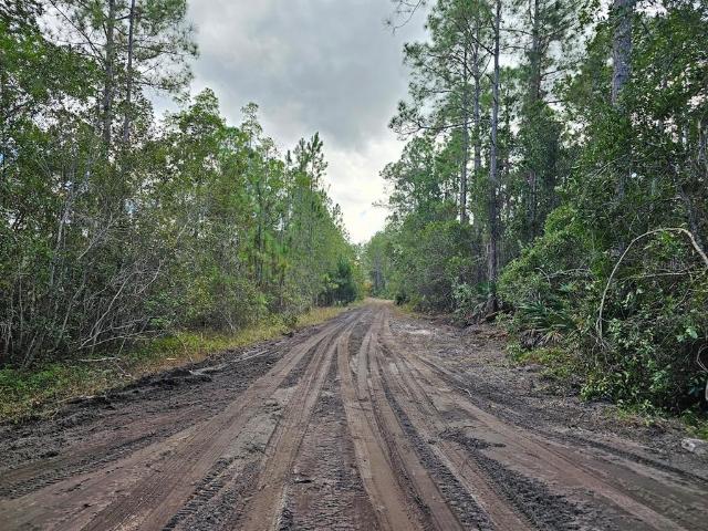 Property for sale in Pierson, Florida