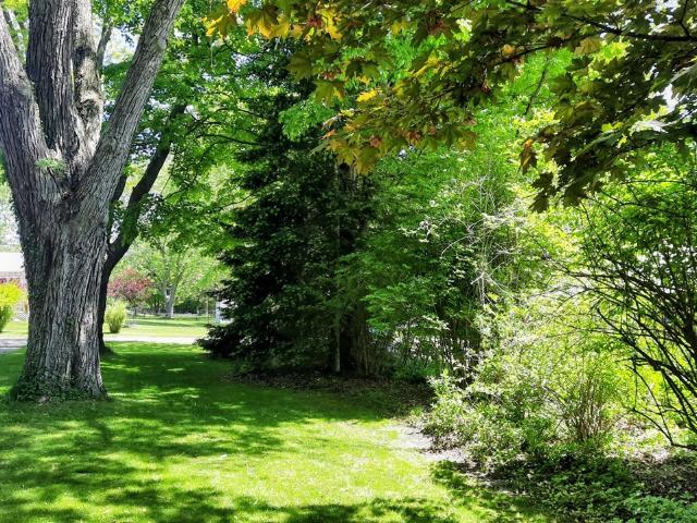 House for sale in Michigan