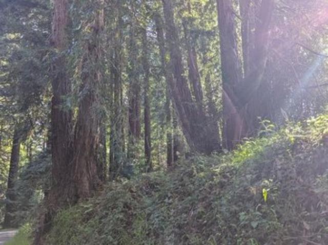 Land for sale in Soquel, California