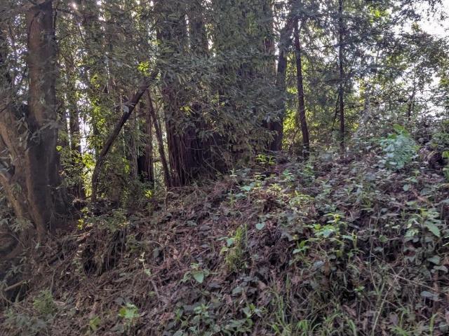 Land for sale in Soquel, California