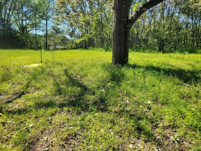 Land for sale in Lamar, Texas