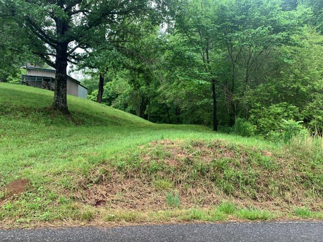 House for sale in Hayesville, North Carolina