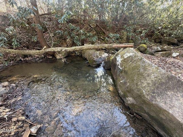 Land for sale in Tennessee