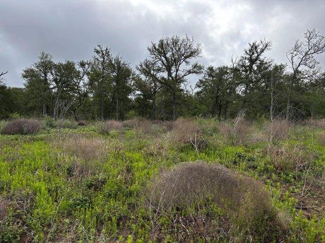 Farm for sale in Williamson, Texas