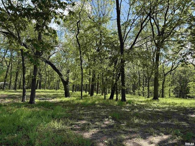 Land for sale in Oquawka, Illinois