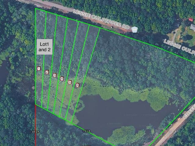 Land for sale in Geneva, Alabama