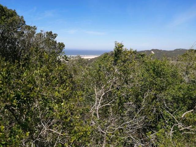 Land for sale in Amathole District Municipality, Eastern Cape
