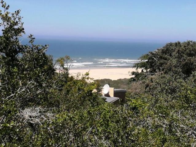 Land for sale in Peddie, Ngqushwa Local Municipality